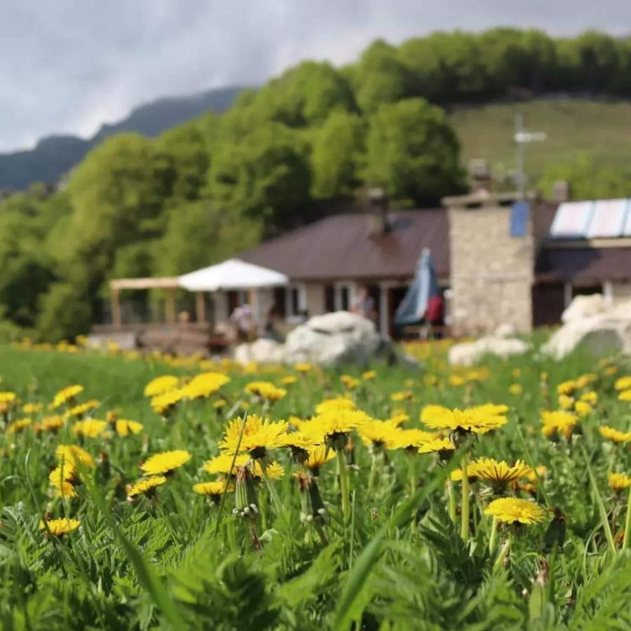 Rifugio Baita Fos-Ce برينتونيكو المظهر الخارجي الصورة